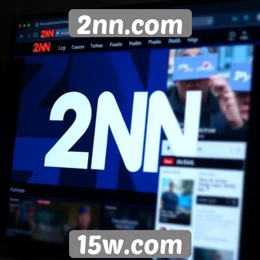 Análise da interface do usuário do 2nn.com